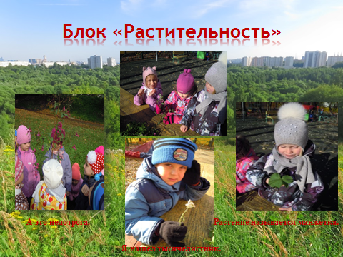 Исследования детьми Чудесный уголок Москвы - Сходненский ковш